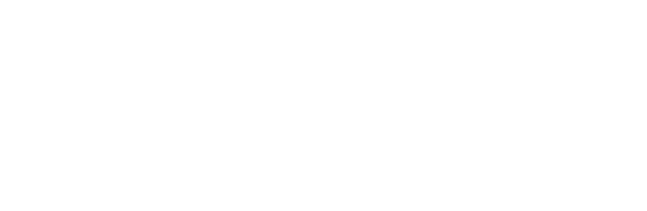 App Development-elite-logo-white, Web Design, Graphic Design, SEO, SER, Mojoe.net, Greenville SC