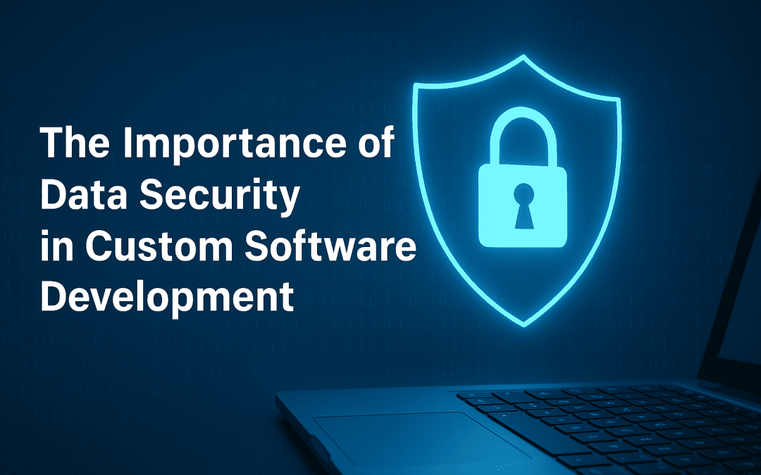 Data Security in Development Matters